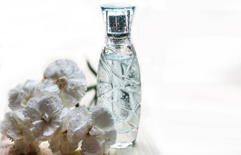 Parfums d&rsquo;été aux notes fraîches et légères à découvrir